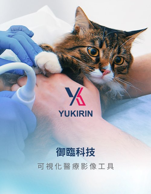 御臨科技-可視化醫療設備｜網頁設計、網站架設