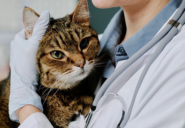 御臨科技-可視化醫療設備｜網頁設計、網站架設