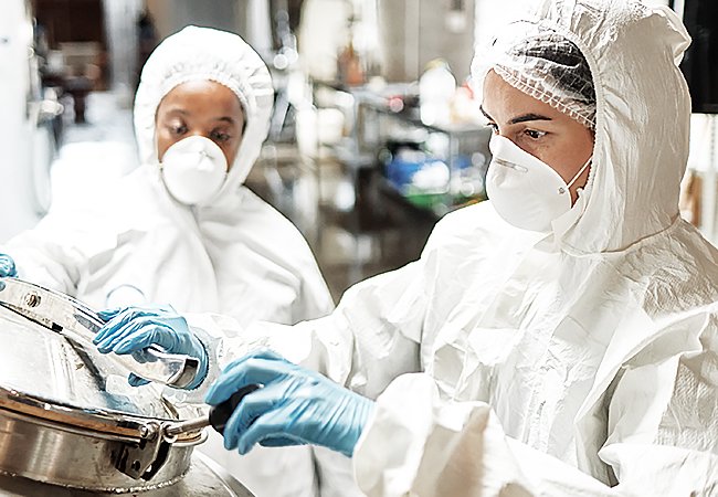 Stolle 海蓮產業-乳品科學研發｜網頁設計、網站架設