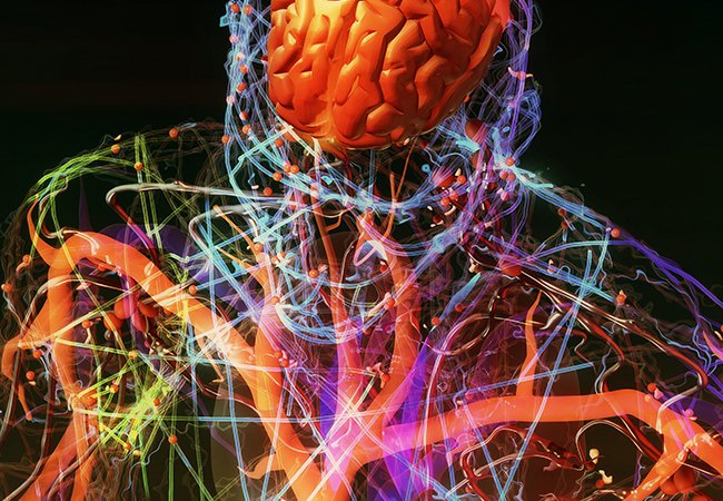 耀登 Sim4Life 教學平台-生醫電磁模擬&教學資源｜網頁設計、網站架設