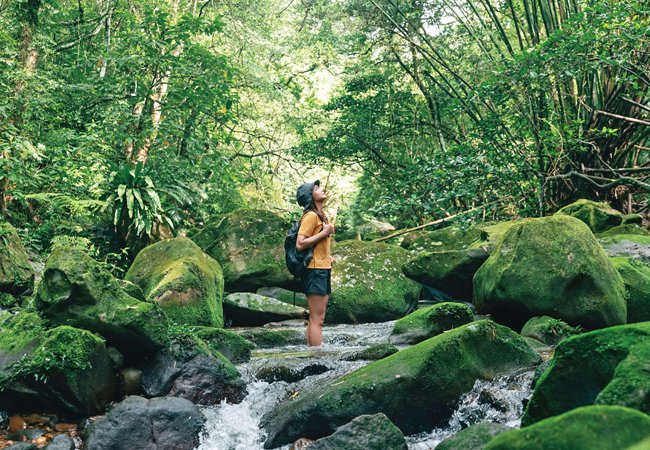 臺北市政府觀光傳播局-MICE 臺北｜網頁設計、網站架設